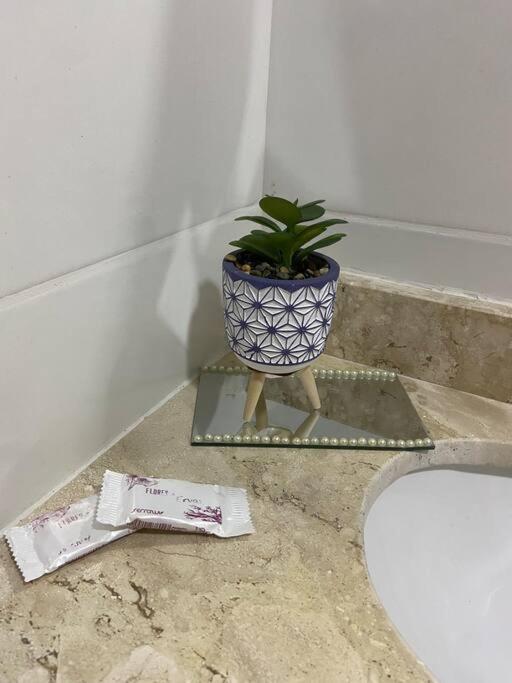 Flat Elegante E Bem Localizado Apartment Feira de Santana Ngoại thất bức ảnh